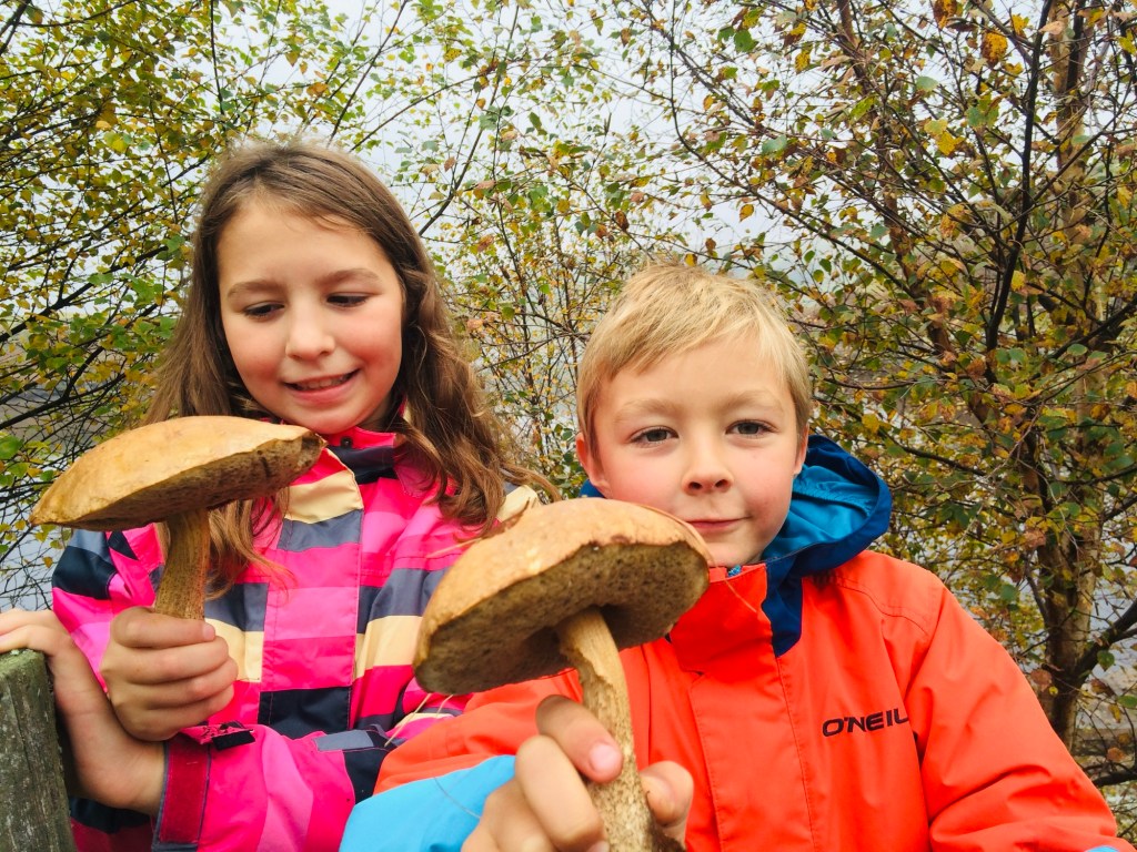 Hunt for mushrooms – Russian passion for&nbsp;foraging